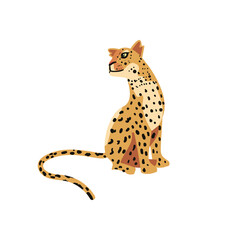 baby leopard illustration