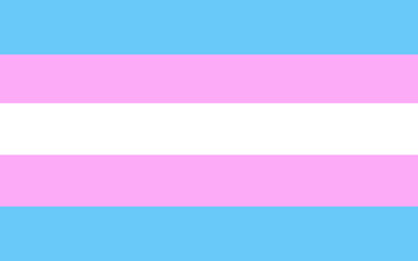 Vector transgender flag. LGBTQ Plus transgender flag.