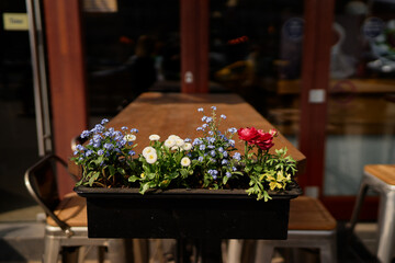 Pot with flowers at the street cafe.