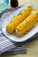 Close up of Ready sweet corn cob on plate food