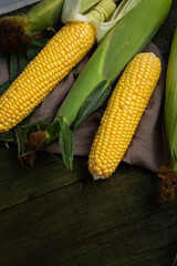 Close up of raw oganic sweet corn cob on wooden table, healthy food