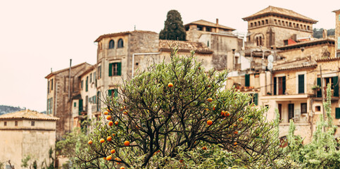 Fototapeta na wymiar View of the ancient streets of Valldemossa. Orange tree on the background of old before...