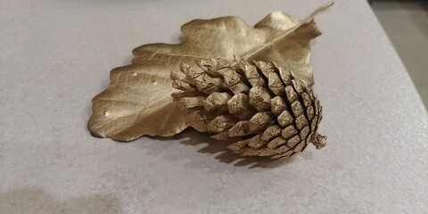 pine cones