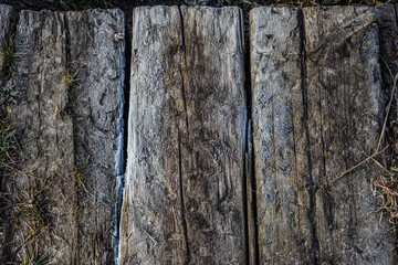 The texture of the tree .Wooden cut texture .
