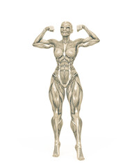 female bodybuilder is showing the guns white background