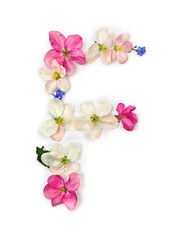 Letter f of flowers apple tree and blue wildflowers forget-me-nots on white background. Top view, flat lay