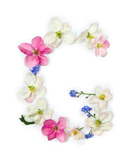 Letter G of flowers apple tree and blue wildflowers forget-me-nots on white background. Top view, flat lay