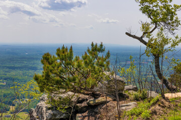Fototapeta na wymiar Pilot Mountain State park in North Carolina