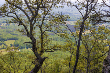 Obraz premium Pilot Mountain State park in North Carolina
