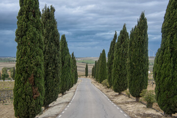 Visit to a beautiful vineyard in Andalusia near the city of Jérez, Spain