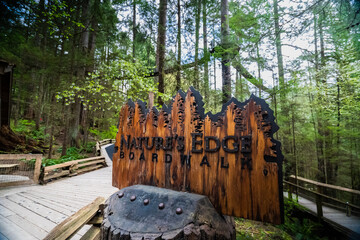 Capilano Suspension Bridge in North Vancouver: Cliff Walk & Treetop Suspension Park