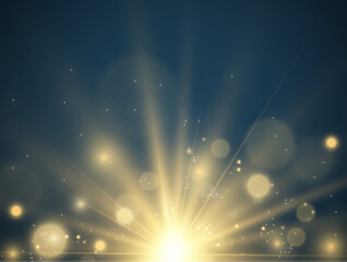 	
Bright beautiful star.Vector illustration of a light effect on a transparent background.	
