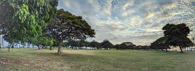 Trees and grass field on Magic Island in Ala Moana Beach Park