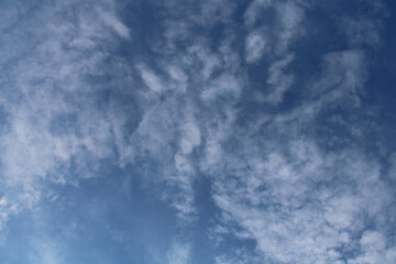 Larks in the sky | In summer time in northern Jutland, Denmark