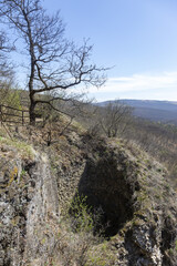 Fototapeta premium tree in the mountains át the ruins of Szarvaskő in Hungary 