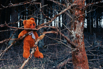 brown teddy bear hanging between branches at dark forest