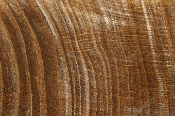 abstraction on the theme of tree rings or sand stains