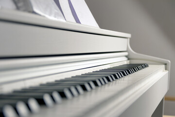 Piano, musical instrument, black white keys