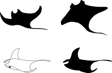 可愛いエイのシルエット