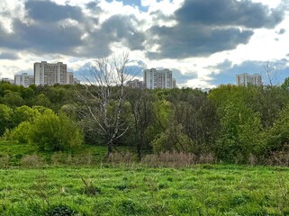 Fototapeta premium Contour light in Terekhovo