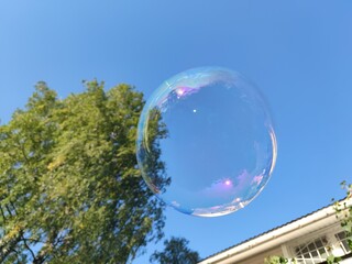 A big soap bubble flies. Against the background of a light blue sky, a large rounded soap bubble flies. Trees are reflected on the thin surface of the bubble and all the colors of the rainbow shimmer.