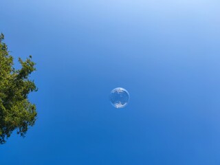 A big soap bubble flies. Against the background of a light blue sky, a large rounded soap bubble flies. Trees are reflected on the thin surface of the bubble and all the colors of the rainbow shimmer.