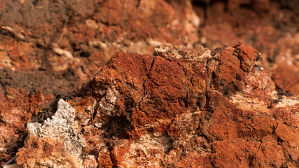 Sedimentary rocks with a high content of iron oxide. Red soil, loam. The texture of the soil.