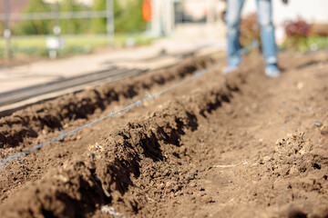 Man digs ground for planting crops. Hands of man who cultivated beds for planting vegetables and greenery. Eco farm products. High quality photo