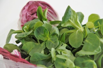 corn salad and radicchio salad greens in a container on a white background
