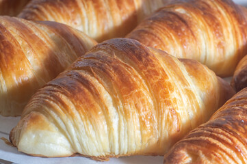 Delicious homemade croissants on a white parchment paper,natural light