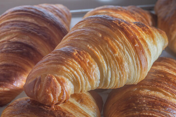 Delicious homemade croissants on a white parchment paper,natural light