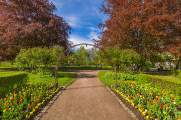 Beautiful landscape view of city park with blooming flowers , green plants, trees and bushes on blue sky background. Sweden. 