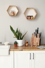 Cutting boards and houseplants on counter near light wall