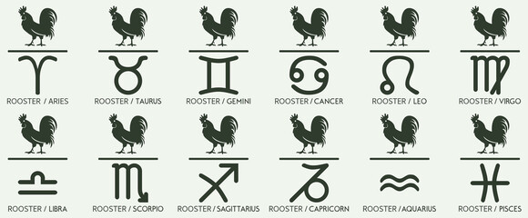 Vector Year of the rooster chicken Animal icons eastern annual horoscope and zodiac signs in one symbol 2029 2041 2053 2065 years