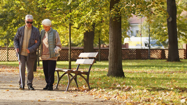 Senior Caucasian woman walks with her handicapped blind husband in park autumn full shot copy space . High quality photo - Powered by Adobe