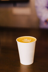 young mother takes a walk with young baby