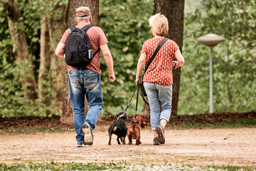 couple promene son chien
