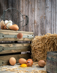 Don't put all your eggs into one basket