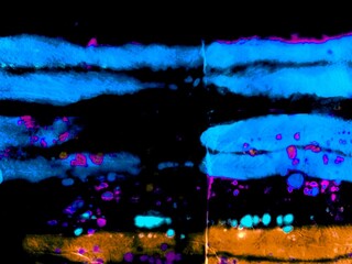 Multi Stripes. Multicolor Lines Pattern Water