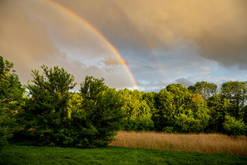 Widok z lasem,  łąką chmurami i tęczą © Follow the Sun