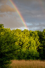 Widok z lasem,  łąką chmurami i tęczą