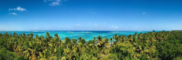 Fototapeta na wymiar Bounty and pristine tropical shore with coconut palm trees and turquoise caribbean sea. Beautiful landscape. Aerial panoramic view