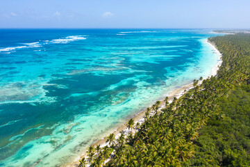 Bounty and pristine tropical shore with coconut palm trees and turquoise caribbean sea. Beautiful landscape. Aerial view