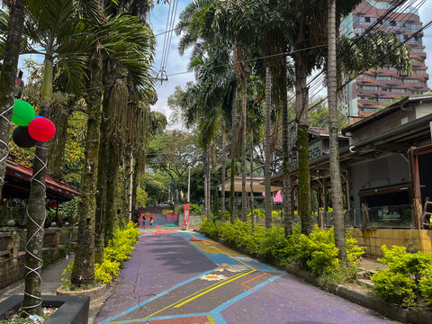 Palm trees and colorful lane in tropical park in El Poblado district in Medellin, Colombia. Exploring downtown Medellin.  