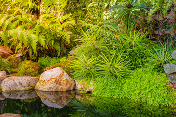 A small garden and a waterfall. Arrangement of gardens outside the building.