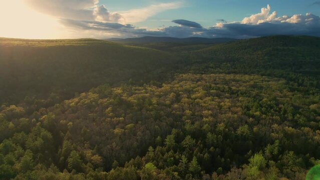 Aerial drone video footage of a vast endless forest with rolling green hills in the Appalachian Mountains during spring or summer in new york's catskill mountain subrange.