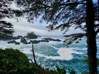 ocean views Pacific Coast