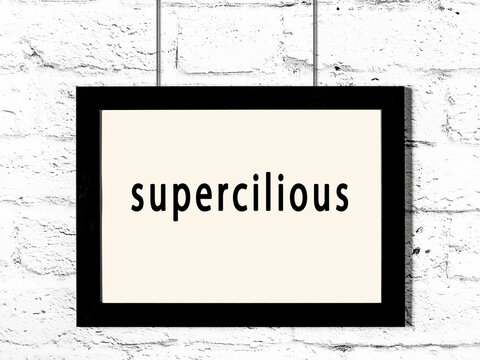 Black frame hanging on white brick wall with inscription supercilious