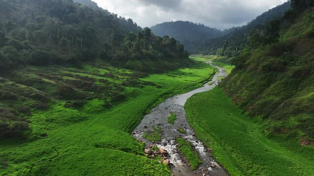 Aerial view of beautiful Water Stream and natural green field of forest in the wild forest mountain ,Clean Air natural fresh Air concept on blue sky fluffy cloud 