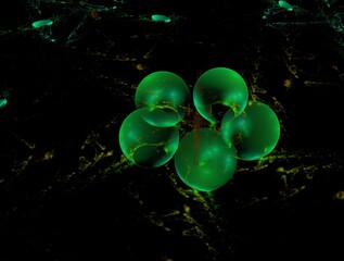 Imaginatory fractal abstract background Image